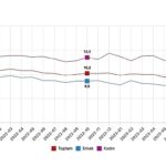 İşgücü İstatistikleri, Ekim 2023