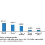 TÜİK: Hanehalkı Nihai Enerji Tüketim İstatistikleri, 2022