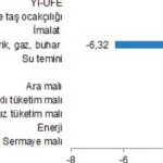 Yurt İçi Üretici Fiyat Endeksi, Ocak 2024