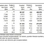 Yurt içinde ikamet eden 9 milyon 616 bin kişi seyahate çıktı